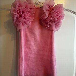 Pink Dress with Ruffled Sleeves